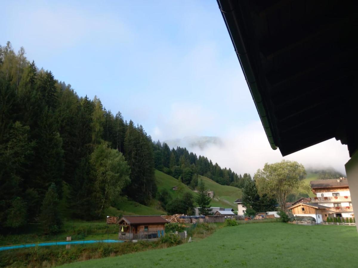 Oase Der Ruhe Apartment Hollersbach im Pinzgau Ngoại thất bức ảnh